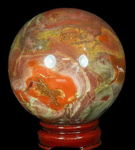Colorful Petrified Wood Sphere #49742